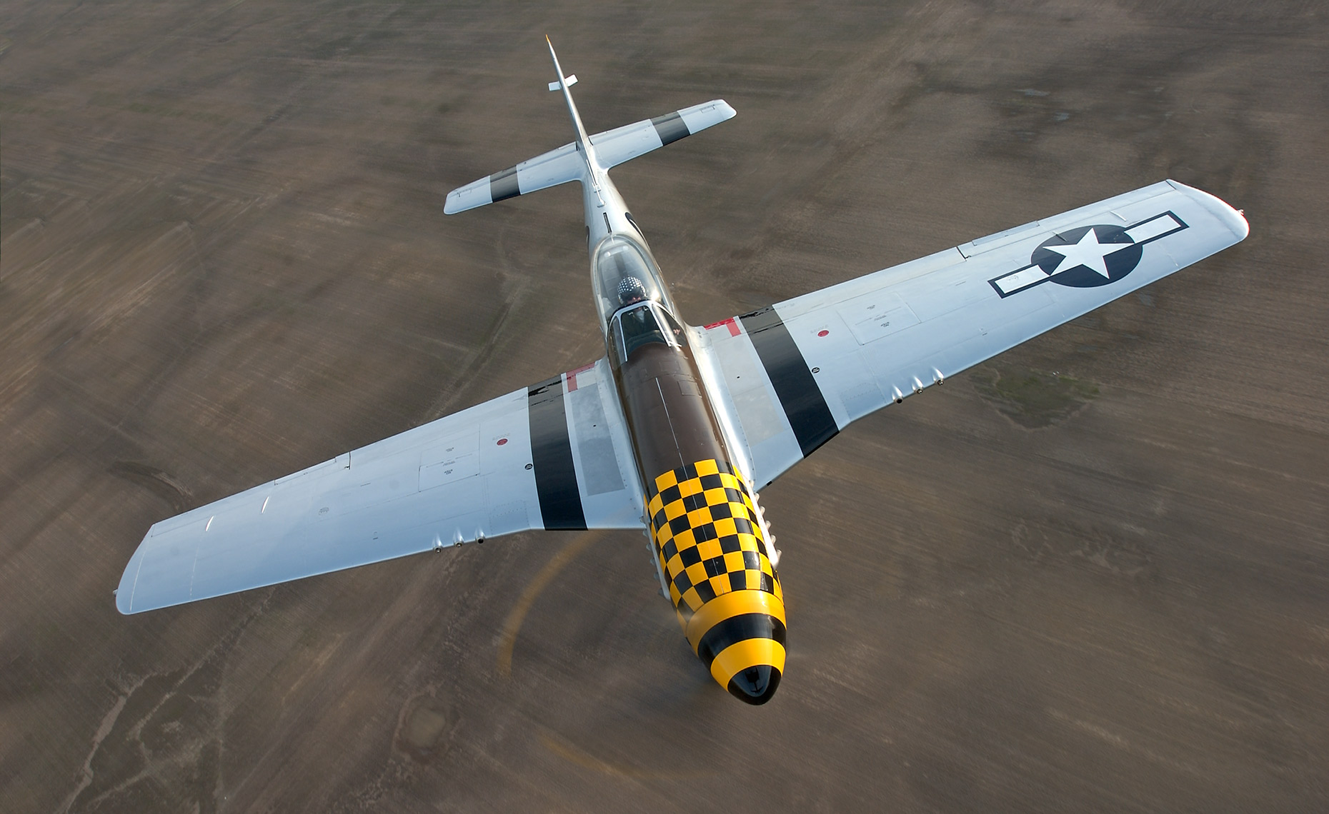 1093953823(Mustang)
