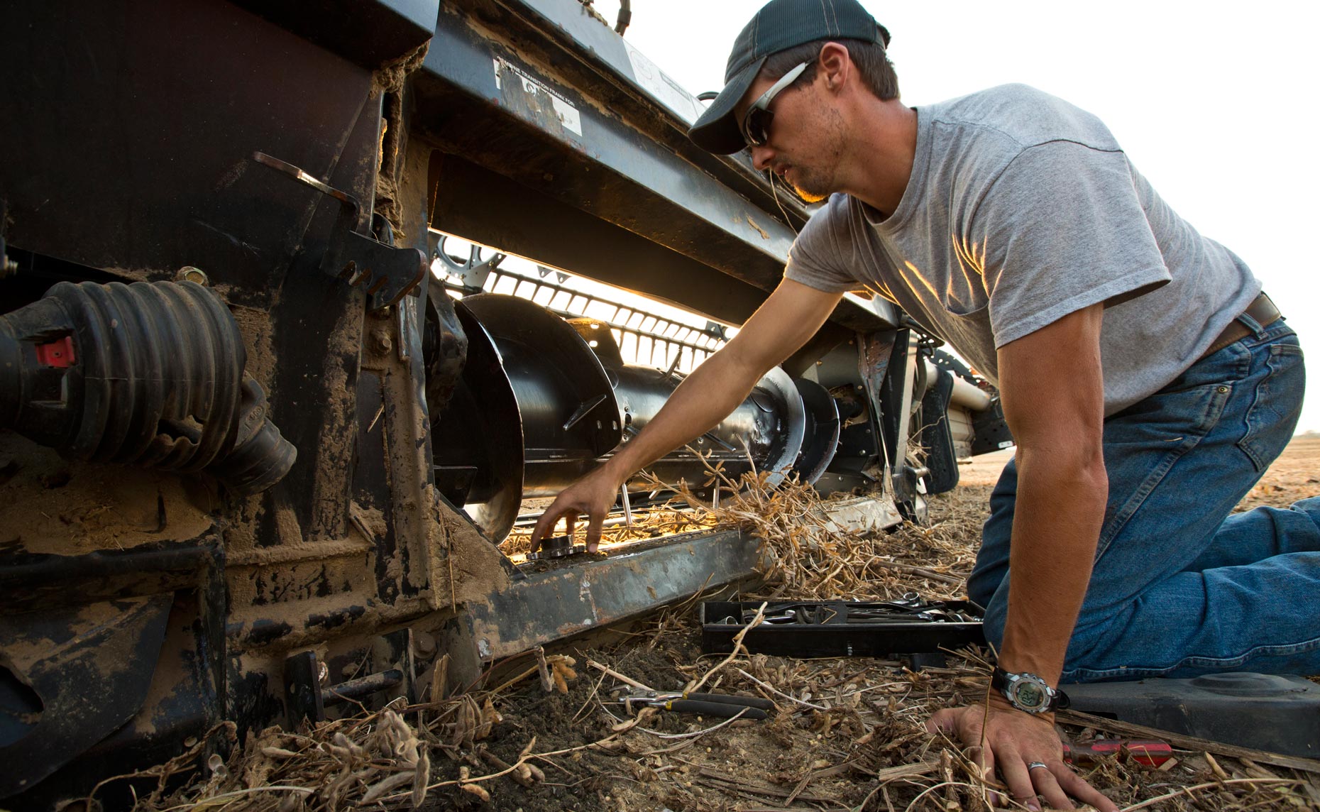 Farming