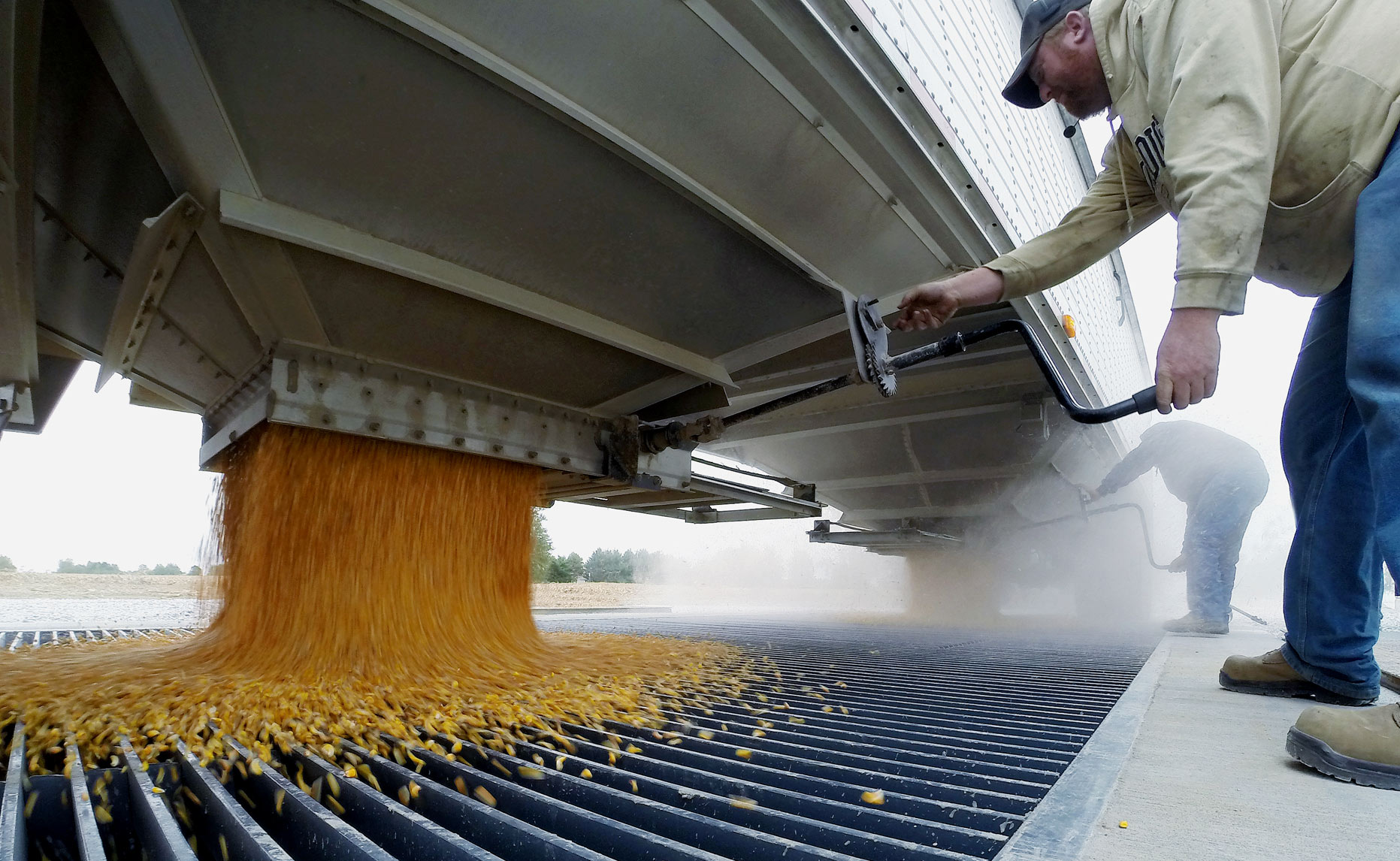 Farming