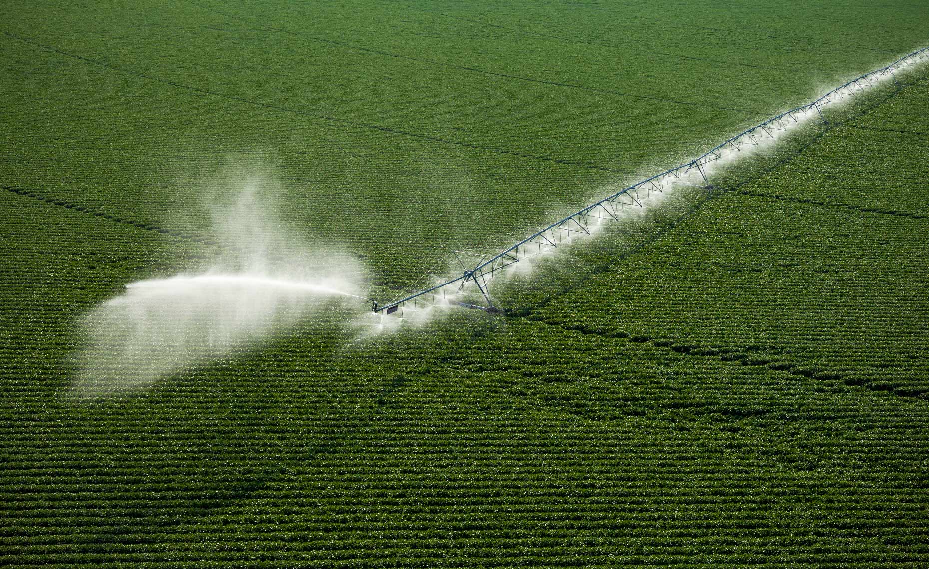 Pivot-Irrigation